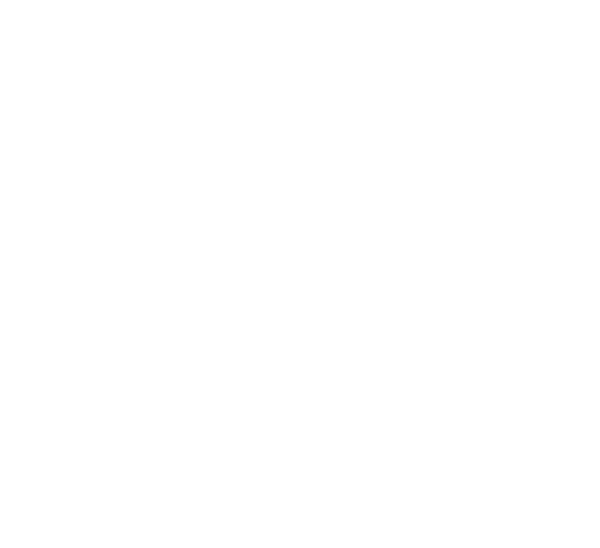 Canalla Street Food