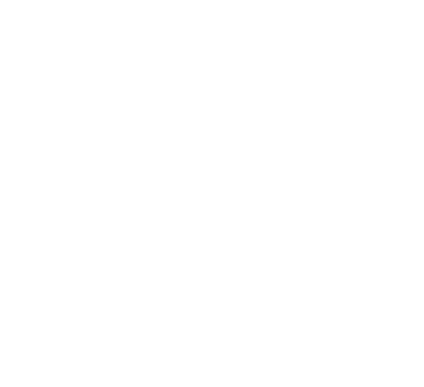 Musa Musa