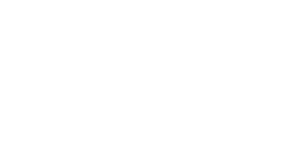 STMNT